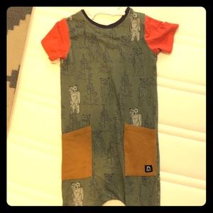 Rags to Raches one piece